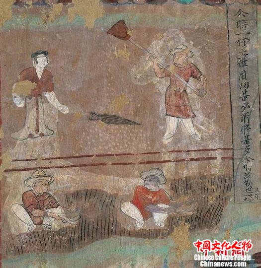 敦煌壁画里的“芒种”：青梅煮酒刈麦山前耕牧忙种